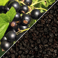 Zante Currants - It's Delish (photo 2)