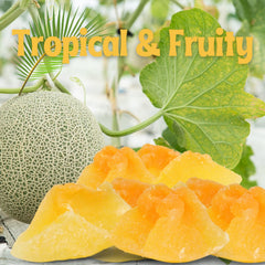 Dried Cantaloupe Chunks - It's Delish (photo 2)