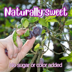 Pitted Prunes - It's Delish (photo 4)