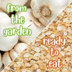 Minced Garlic, Dried - It's Delish (photo 3)