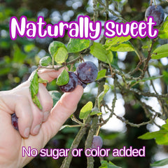 Dried Pitted Prunes Jumbo Jar - It's Delish (photo 4)