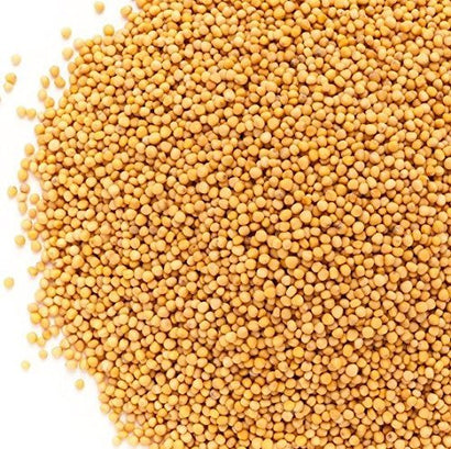 Whole Yellow Mustard Seeds - It's Delish