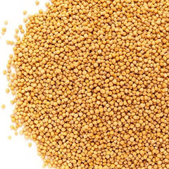 Whole Yellow Mustard Seeds - It's Delish