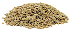 Roasted Salted Sunflower Seeds — Jumbo Jar - It's Delish (photo 4)