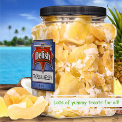 Tropical Mixed Dried Fruit Medley Jumbo Jar - It's Delish (photo 7)