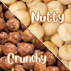 Toffee Coated Macadamia Bulk Bag - It's Delish (photo 3)