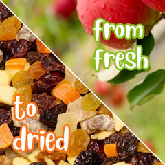 Dried Mixed Fruit Dices Medley Jumbo Jar - It's Delish (photo 6)