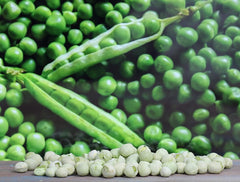 Freeze Dried Peas - It's Delish (photo 4)