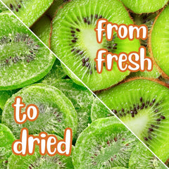 Dried Kiwi Slices Jumbo Jar - It's Delish (photo 6)