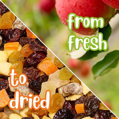 Dried Mixed Fruit Dices Medley — Bulk Bag - It's Delish (photo 5)