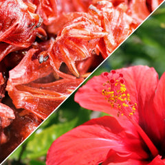 Dried Candied Hibiscus Flower - It's Delish (photo 4)