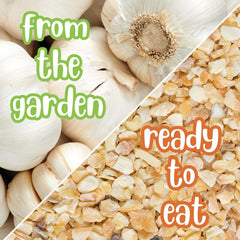 Dried Minced Garlic - It's Delish (photo 4)