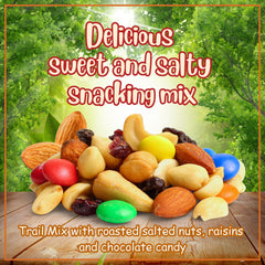 M&M Classic Trail Mix — Jumbo Container - It's Delish (photo 2)