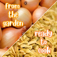Toasted Minced Onion