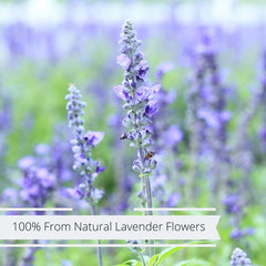 Dried Lavender Flowers & Herb Buds - It's Delish (photo 3)