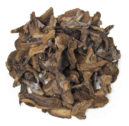 Mushroom Kibble (Boletus Luteus) - It's Delish